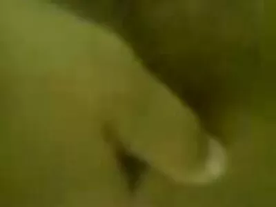 هي تحتاج ديكي الأسود افلام سكس اجنبي مترجم جديد