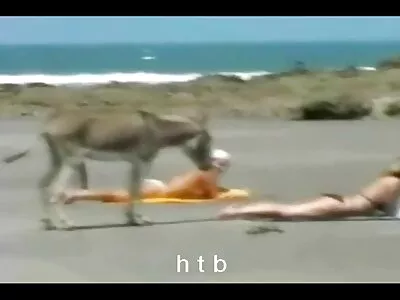 سونيا تحب افلام سكس اجنبي مدبلج أنمي الصعب