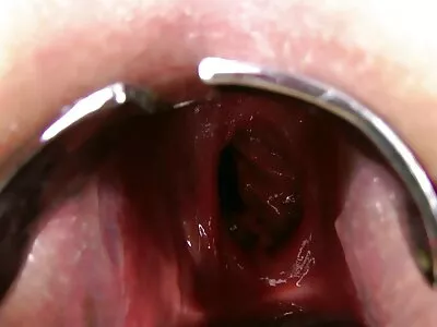 كس لعق سكس اخوات اجنبي مترجم النشوة