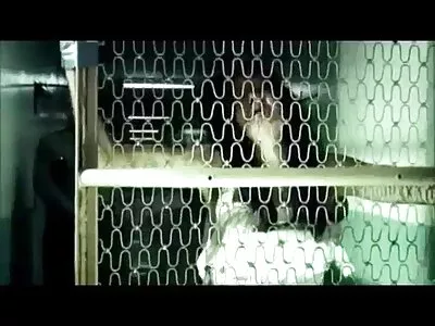 فاتنة تمتص الديك ويمارس سكس اجنبي مترجم مصري الجنس الشرجي مع creampie