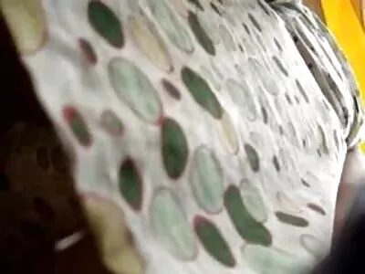 جبهة تحرير مورو الإسلامية تمتص الديك ويحصل جنس اجنبي وعربي على الحمل على وجهه